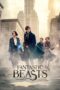 Fantastic Beasts and Where to Find Them Fantastic Beasts and Where to Find Them